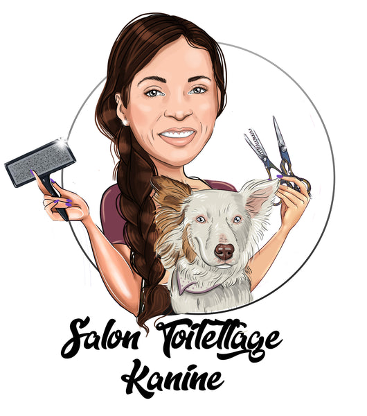 Creative Ways for Pet Groomers to Use Personalized Logos